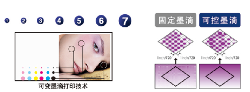 墨點大小 墨點大小